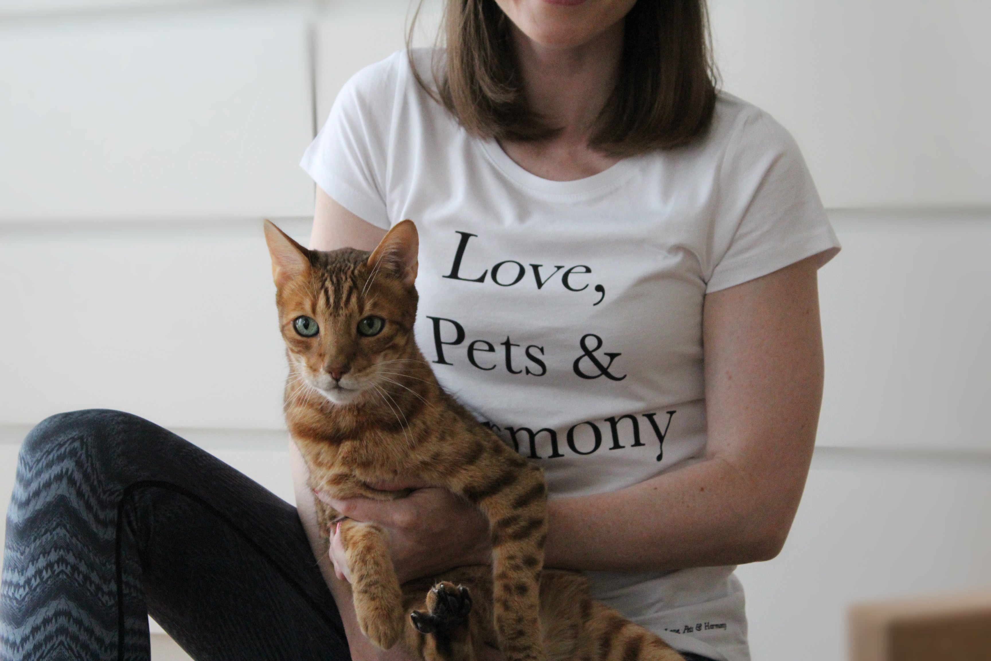 Love, Pets & Harmony Cat