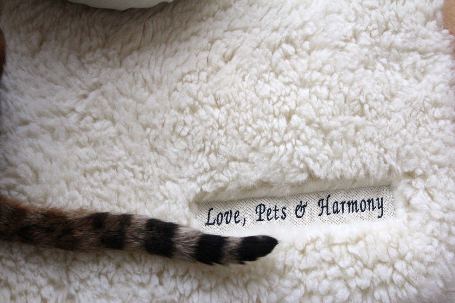 Love Pets and Harmony Katze Yogamatte